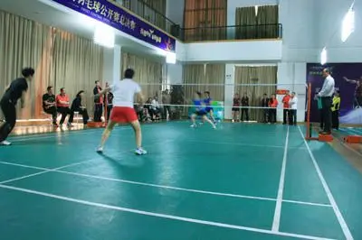 维尼修斯以 维尼修斯以