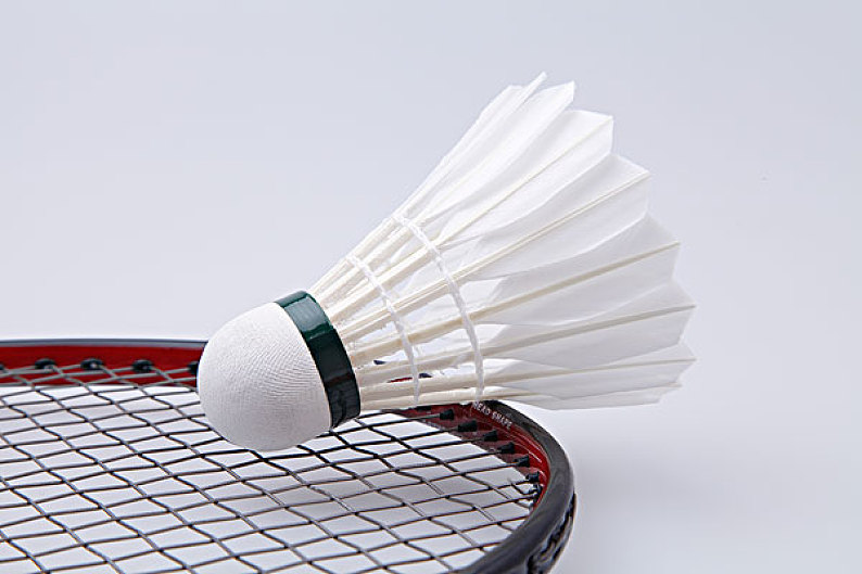 会再次吸引 会再次吸引